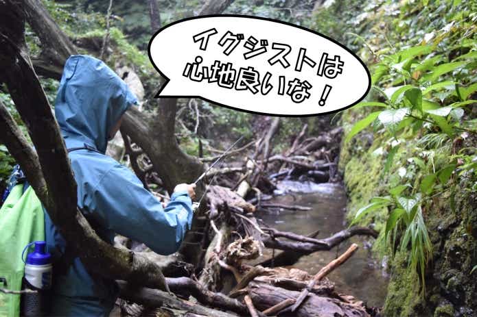 高級タックル メリット