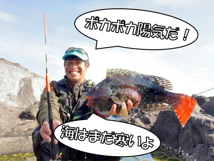 季節の釣り状況　春