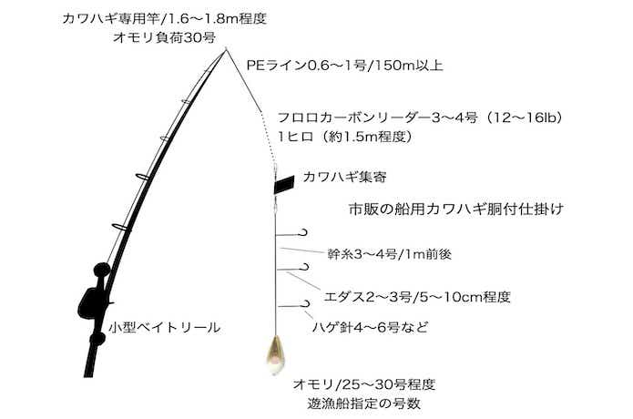 カワハギ釣りの仕掛けを元釣具屋が徹底解説。細部にこだわればもっと