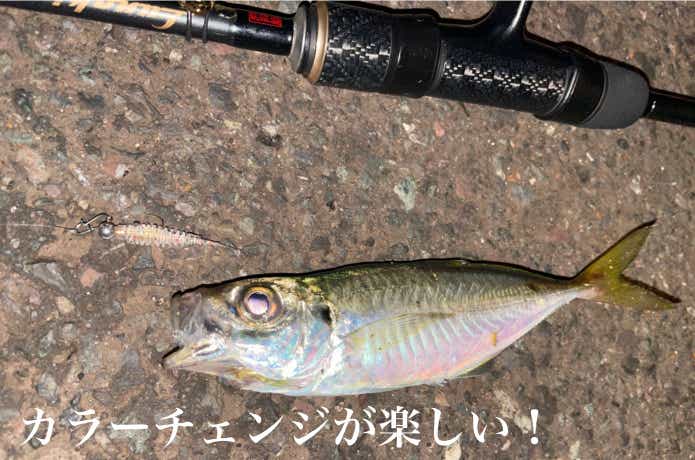 アジングビーム FATの釣果