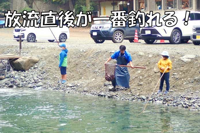 ニジマス釣り堀 放流 よく釣れる