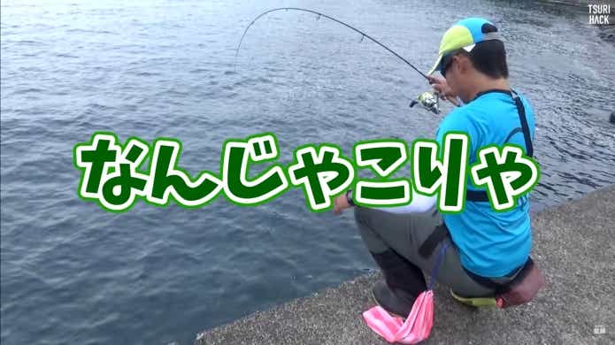 生ミック　大物