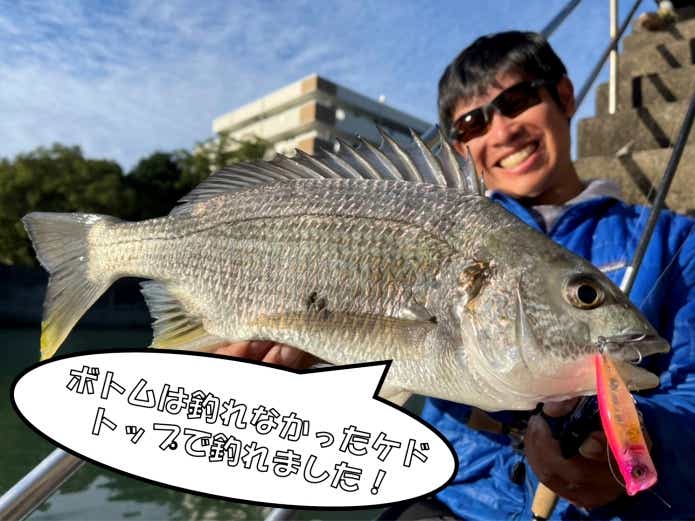 たくさん釣る為に高級タックルは要りません。それよりも〇〇に