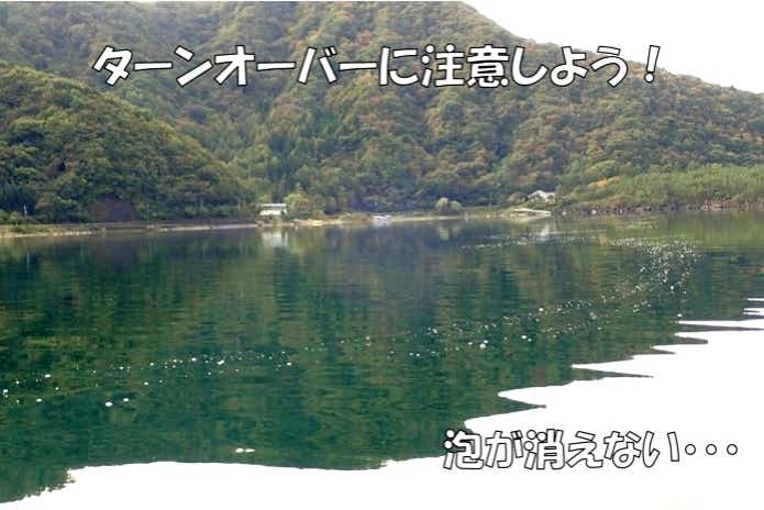 秋　ターンオーバー