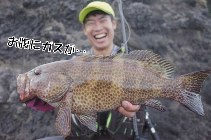 根魚 リリース方法