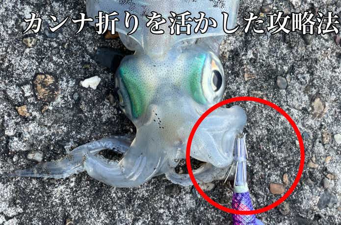 エギのカンナを折った画像