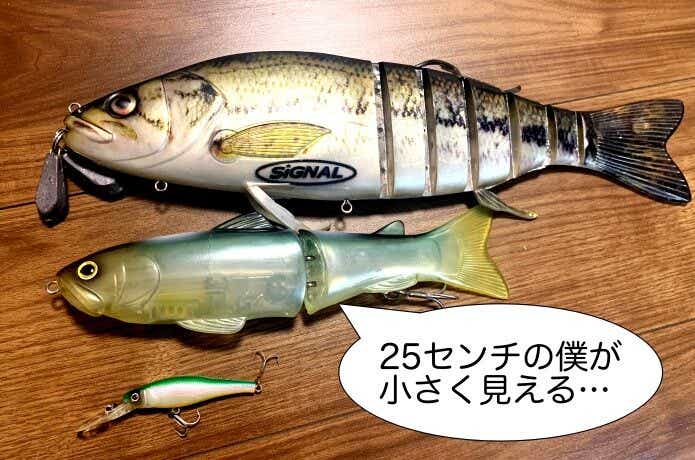 スライドスイマー250は釣れるジャイアントベイト【プロガイド推薦