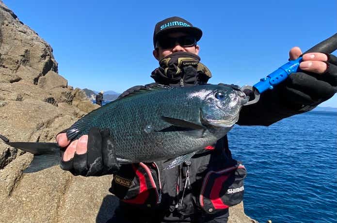 磯釣りの画像