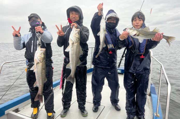 シーバス釣果