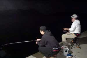 夜のサビキ釣り