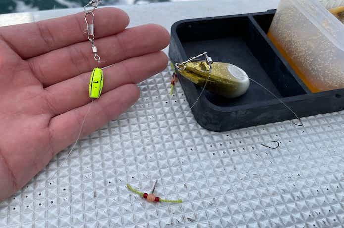 カワハギ釣りの仕掛けを元釣具屋が徹底解説。細部にこだわれば