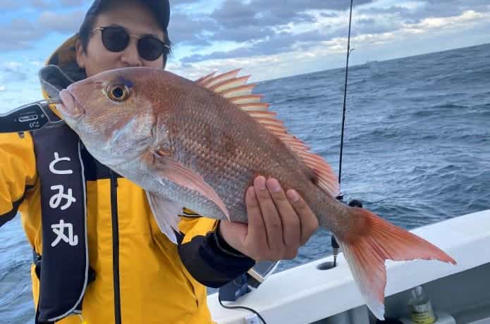 マダイ釣りの画像