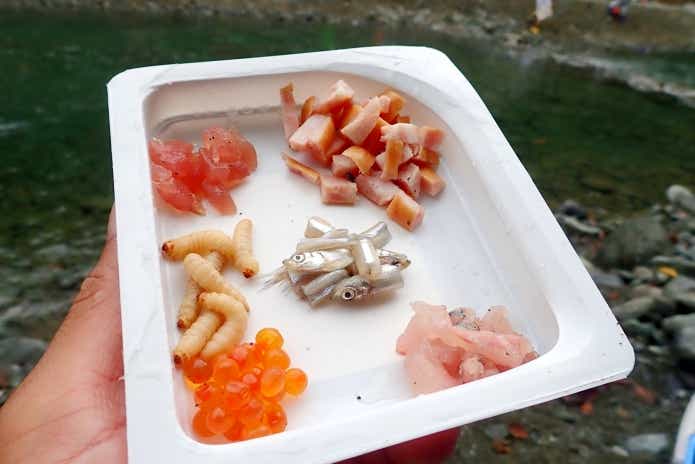 ニジマス釣り堀 エサ 工夫