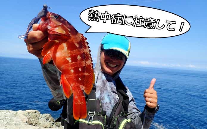 季節の釣り状況　夏