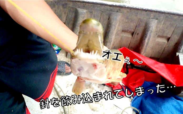 魚 針 飲み込んだ時 対処