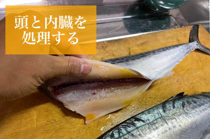 サゴシの下処理