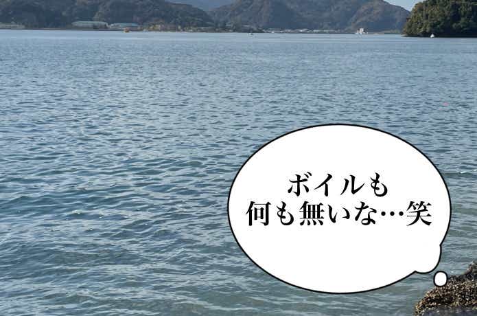 ボイルなし