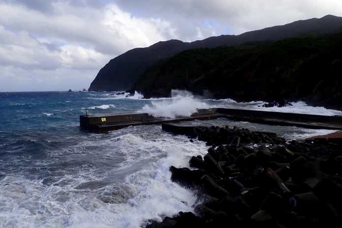 台風　死滅回遊魚　影響