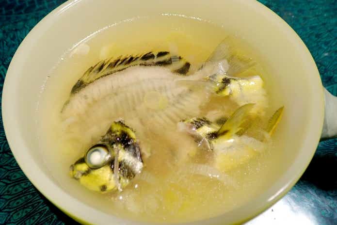 カゴカキダイ　お吸い物