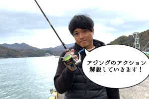 アジングのアクション