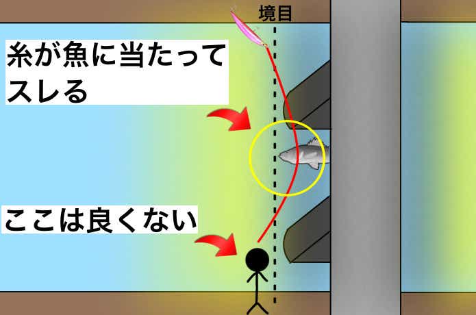 明暗シーバス
