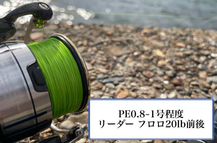 サゴシのライン