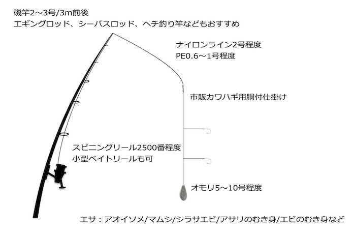 カワハギ仕掛け　錘　ちょい置き カワハギの仕掛け（チョイ投げ釣り／投げ釣り／沖釣り） | 釣魚