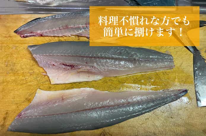 サゴシのさく