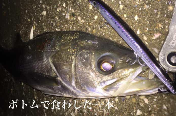サヨリパターンはボトム攻略も