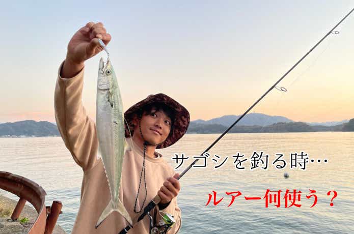 サゴシ釣りの画像