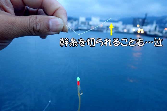 カマス　仕掛け　切られる