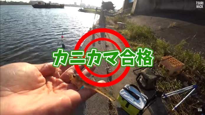 ハゼ釣りエサ　カニカマ