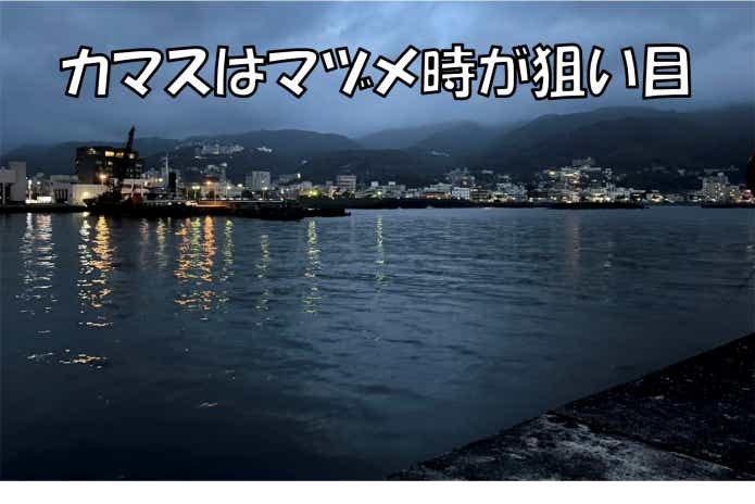 カマス　釣り　狙う　時間