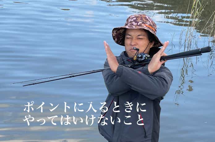 河川シーバスのエントリー