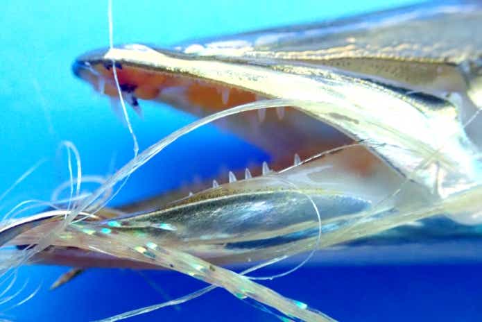 カマス　サビキ　仕掛け　太い