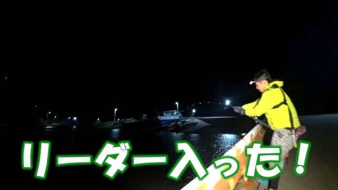 マダラエイ　釣り