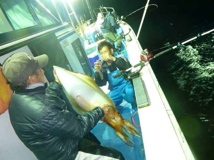 ソデイカ　タルイカ　死滅回遊魚