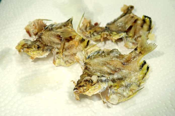 カゴカキダイ　唐揚げ