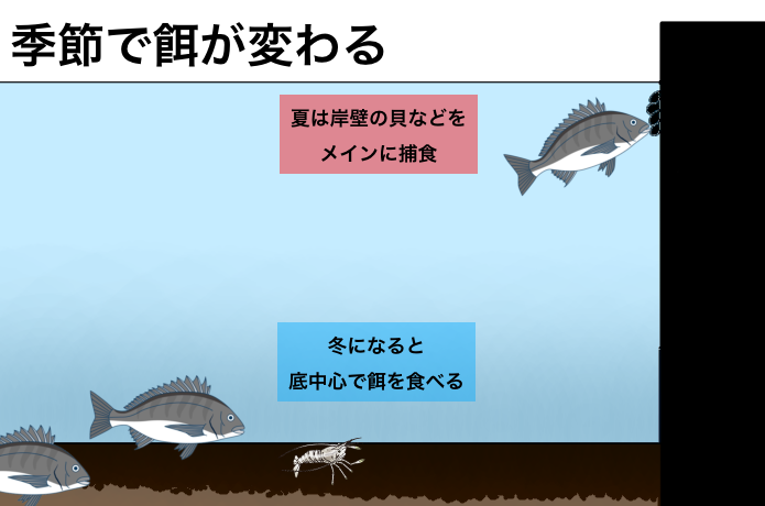 ボトムを攻める