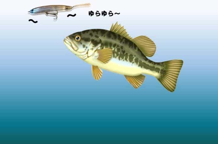 ジョーダン（HMKL）　泳ぎ