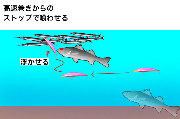 サヨリパターンの釣り方（ストップ&ゴー）