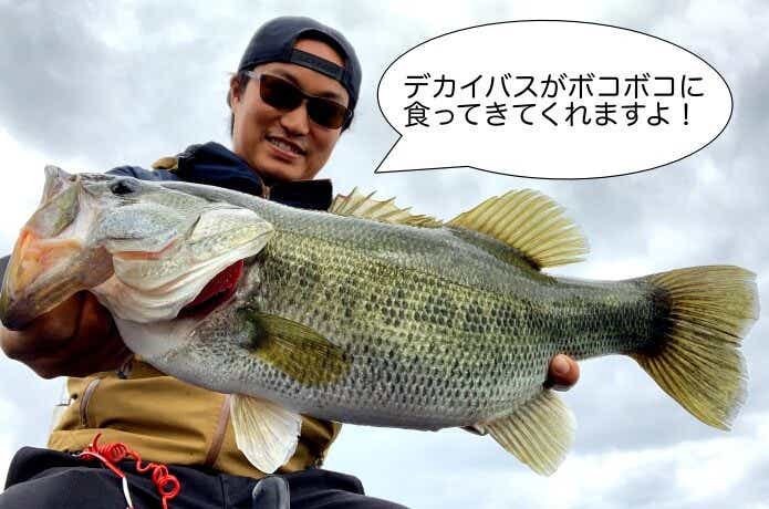 ジョーダン（HMKL）　アクション　釣れたバス