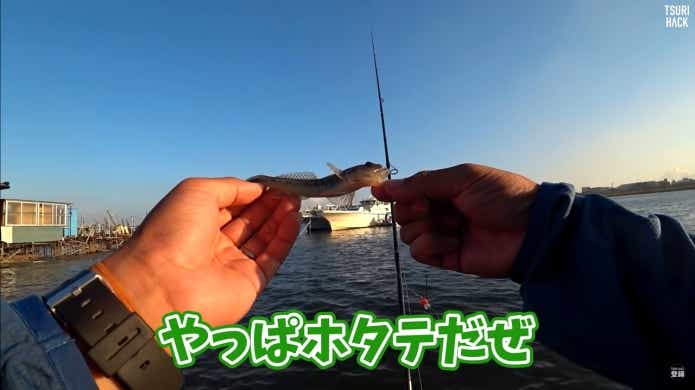 ホタテ　ハゼ釣り　エサ　最強