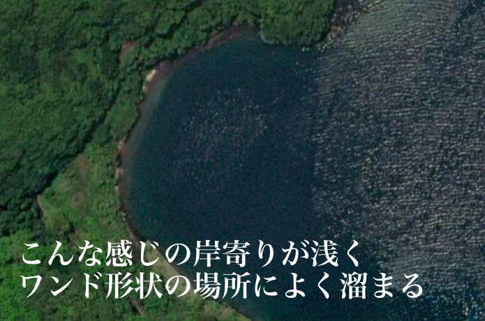 サヨリパターンのポイント
