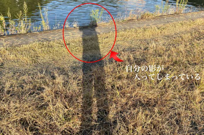 自分の影