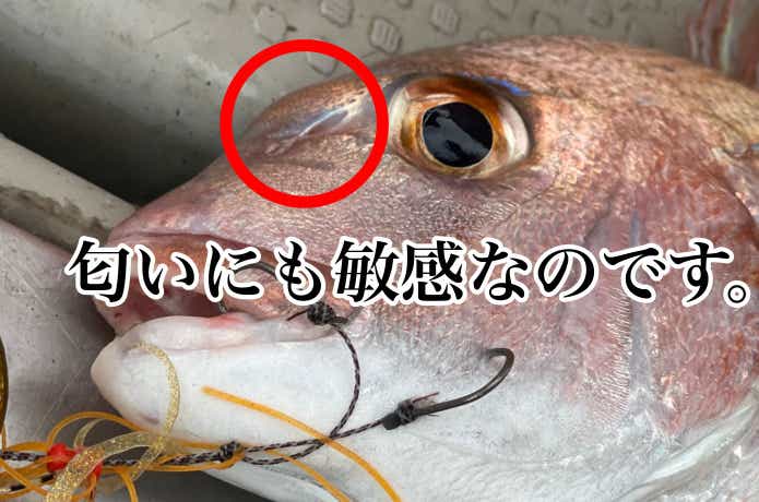 匂い