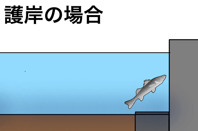【護岸エリア編】立ち位置