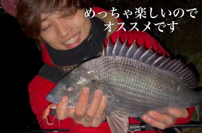 冬チヌの釣果