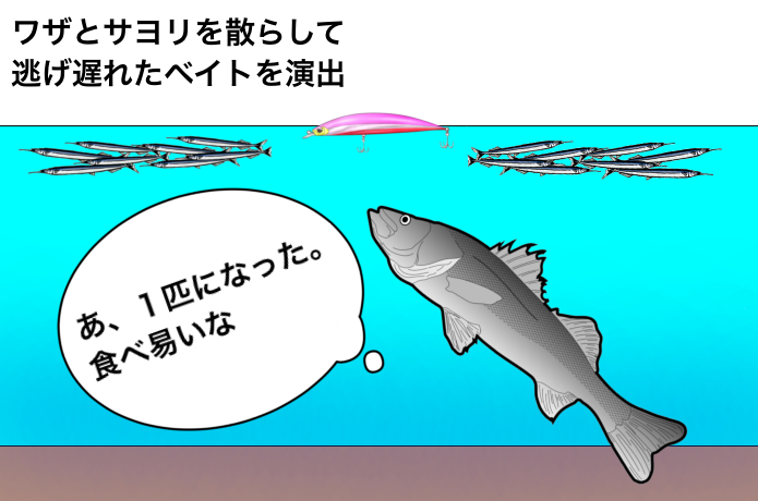 サヨリパターンの釣り方（散らし）