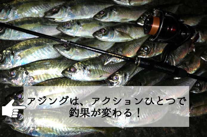 アジングのアクション